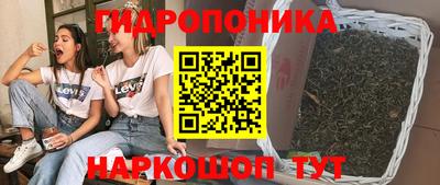 кокс Будённовск